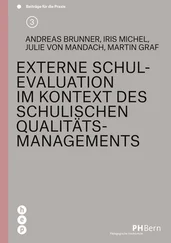 Andreas Brunner - Externe Schulevaluation im Kontext des schulischen Qualitätsmanagements