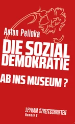 Anton Pelinka - Die Sozialdemokratie – ab ins Museum?