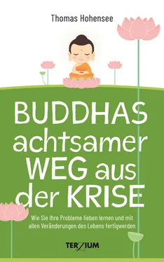 Thomas Hohensee Buddhas achtsamer Weg aus der Krise обложка книги