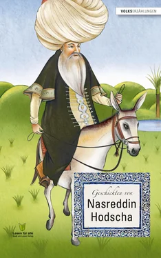 Remke van Veelen Geschichten von Nasreddin Hodscha обложка книги