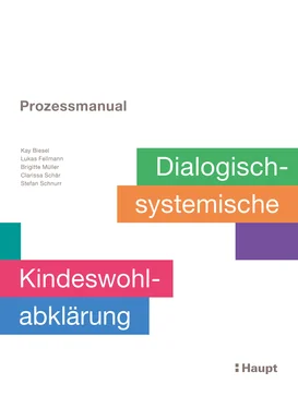 Kay Biesel Prozessmanual. Dialogisch-systemische Kindeswohlabklärung обложка книги