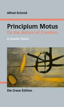 Alfred Schmid Principium Motus обложка книги