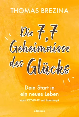 Thomas Brezina Die 7,7 Geheimnisse des Glücks обложка книги