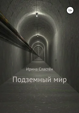 Ирина Сластён Подземный мир обложка книги