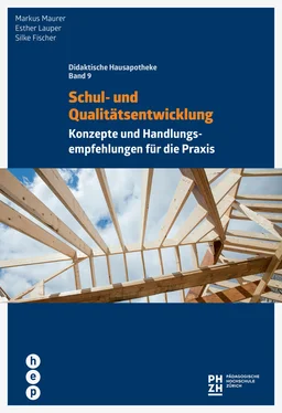 Markus Mäurer Schul- und Qualitätsentwicklung обложка книги