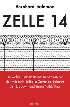 Salomon Bernhard Zelle 14 обложка книги
