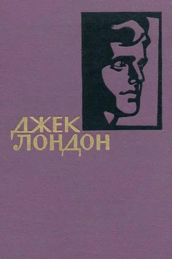 Джек Лондон Джек Лондон. Собрание сочинений в 14 томах. Том 2 обложка книги