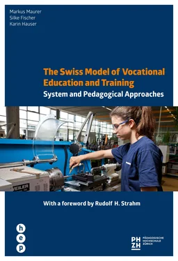 Markus Mäurer The Swiss Model of Vocational Education and Training обложка книги