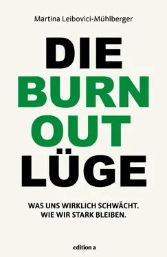 Martina Leibovici-Mühlberger Die Burnout Lüge обложка книги
