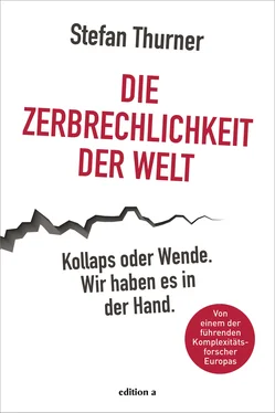 Stefan Thurner Die Zerbrechlichkeit der Welt обложка книги