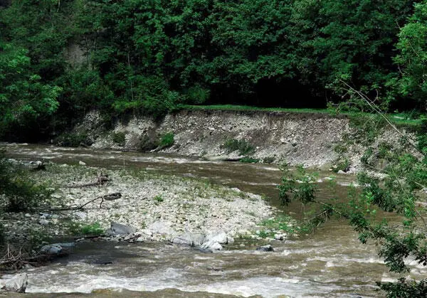 Flusslauf mit gut sichtbarer Ufererosion Fische - фото 28