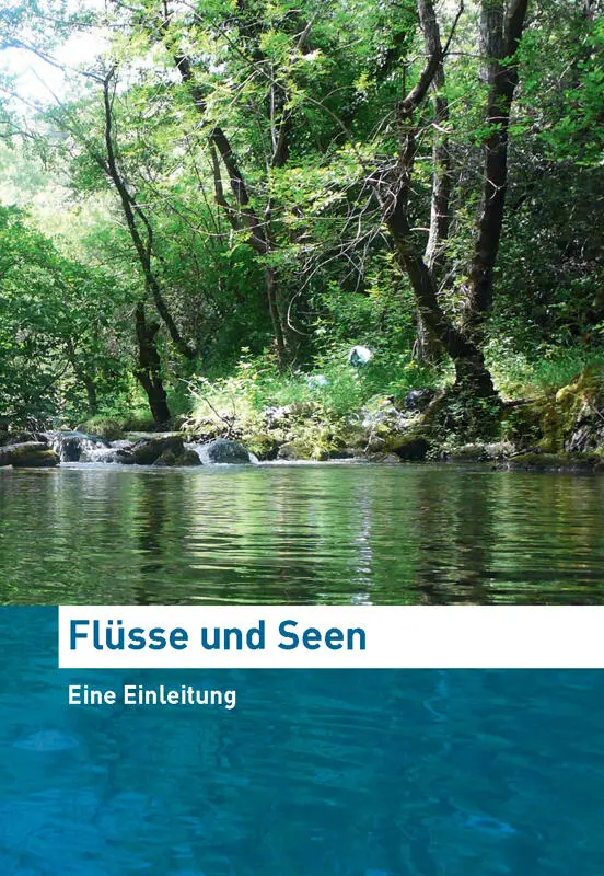 Im Frühling beginnt wieder das Wachstum der verschiedenen Wasserpflanzen - фото 6