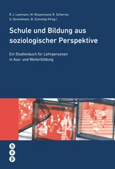 Regina Scherrer - Schule und Bildung aus soziologischer Perspektive (E-Book)