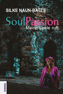 Silke Naun-Bates SoulPassion обложка книги