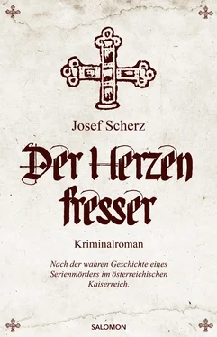 Josef Scherz Der Herzenfresser обложка книги