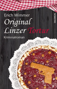 Erich Wimmer Original Linzer Tortur обложка книги