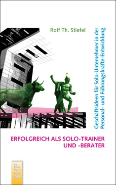 Rolf Th. Stiefel Erfolgreich als Solo-Trainer und -Berater обложка книги