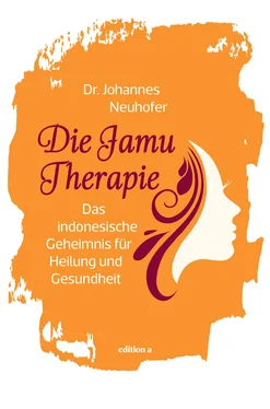 Johannes Neuhofer Die Jamu-Therapie обложка книги