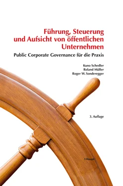Roland Muller Führung, Steuerung und Aufsicht von öffentlichen Unternehmen обложка книги