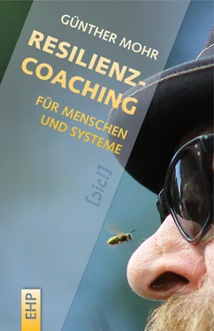 Günther Mohr Resilienzcoaching für Menschen und Systeme обложка книги