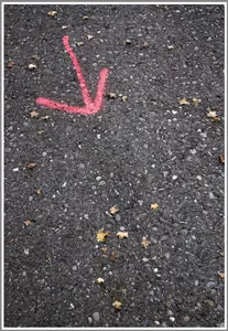 Basics - фото 15