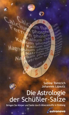 Sabine Tomicich Die Astrologie der Schüssler-Salze обложка книги