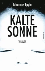 Johannes Epple - Kalte Sonne