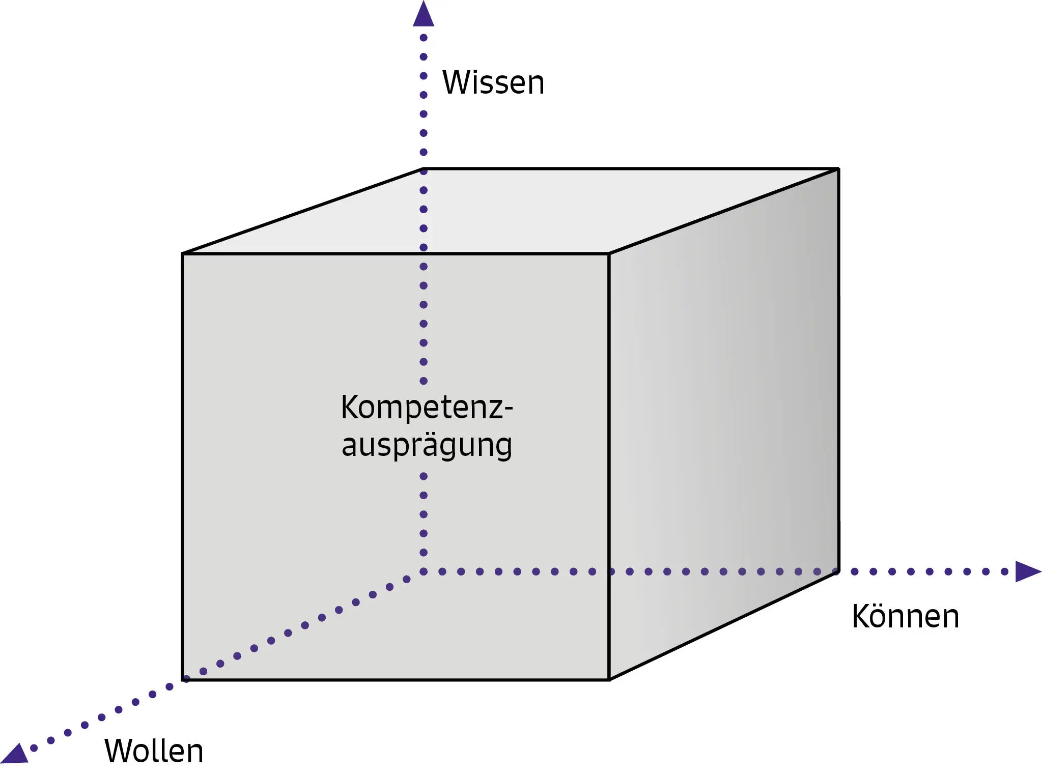Abbildung 1 Kompetenzausprägung nach Schubiger 2013 S 24 Diese Darstellung - фото 2