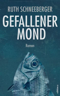 Ruth Schneeeberger Gefallener Mond обложка книги