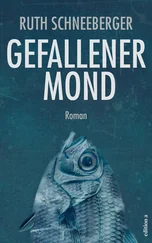 Ruth Schneeeberger - Gefallener Mond