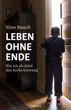 Nino Rauch Leben ohne Ende обложка книги