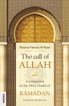 Rosina-Fawzia Al-Rawi The call of ALLAH обложка книги