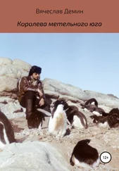 Вячеслав Демин - Королева метельного юга