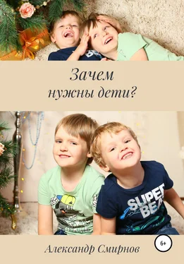Александр Смирнов Зачем нужны дети? обложка книги