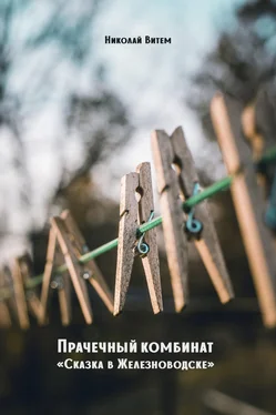 Николай Витем Прачечный комбинат «Сказка в Железноводске» обложка книги