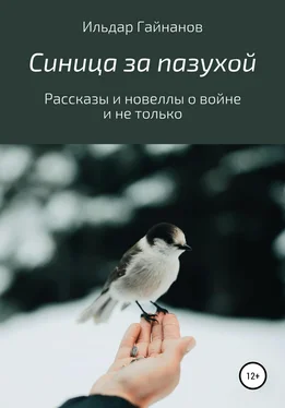 Ильдар Гайнанов Синица за пазухой. Рассказы и новеллы о войне и не только обложка книги