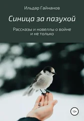 Ильдар Гайнанов - Синица за пазухой. Рассказы и новеллы о войне и не только