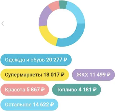 Расходы превышали доходы Моя семья не вылезала с кредитной карты Я смотрела - фото 1