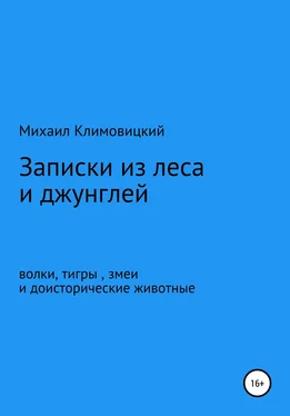 Михаил Климовицкий Записки из леса и джунглей обложка книги