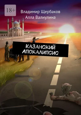 Владимир Щербаков Казанский Апокалипсис обложка книги