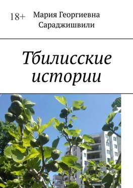 Мария Сараджишвили Тбилисские истории обложка книги