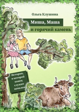 Ольга Клушина Миша, Маша и горячий камень. История, в которой конец служит началом обложка книги