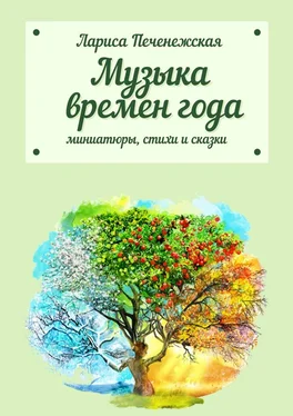 Лариса Печенежская Музыка времён года обложка книги