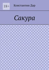 Константин Дар - Сакура