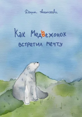 Даша Алексеева Как Медвежонок встретил мечту обложка книги