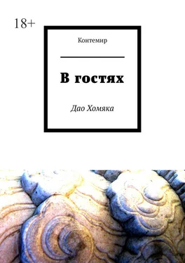 Контемир В гостях. Дао Хомяка обложка книги