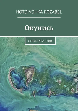 Notdivohka Rozabel Окунись. Стихи 2021 года обложка книги