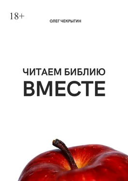 Олег Чекрыгин Читаем Библию вместе обложка книги