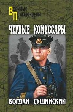 Богдан Сушинский Черные комиссары обложка книги