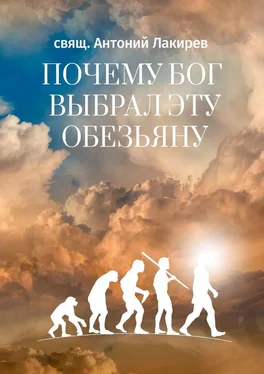 свящ. Антоний Лакирев Почему Бог выбрал эту обезьяну обложка книги